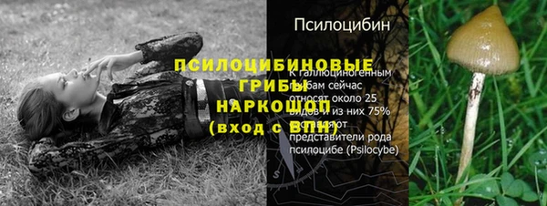 первитин Балахна