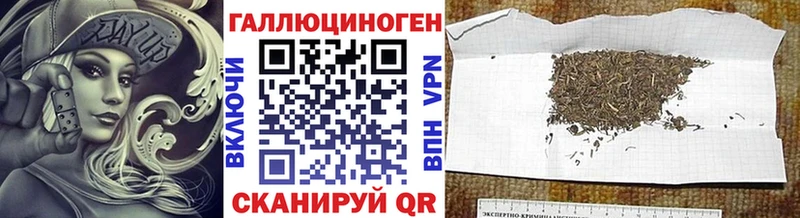 где можно купить   Северо-Курильск  Галлюциногенные грибы мицелий 